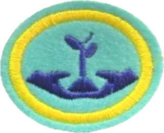 Growing in Christ patch