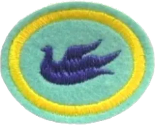 Spiritual Gifts and Ministries patch