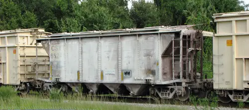6619