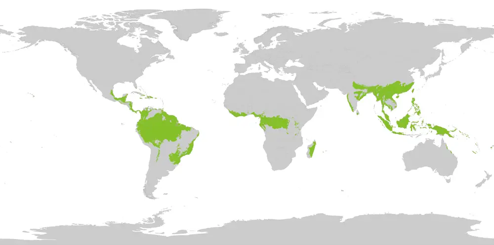 800px-tropical wet forests