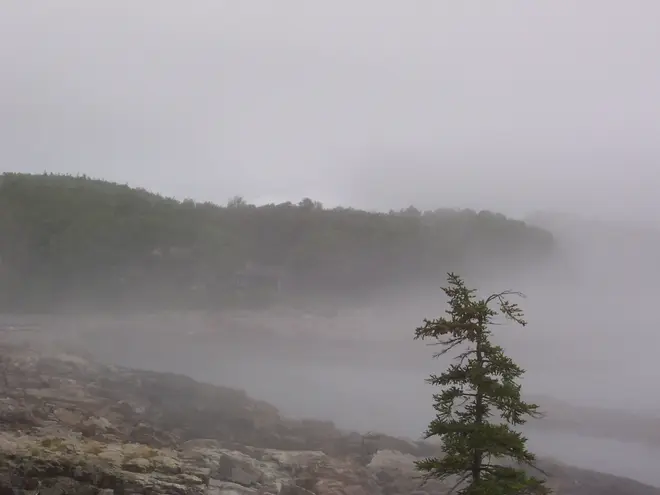 Acadia NP fog 2005-1-18