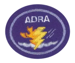 Disaster Response patch