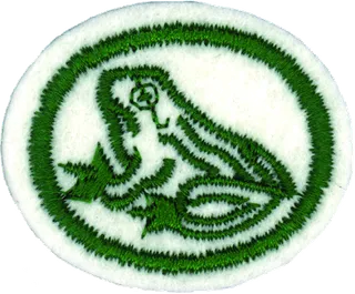 Amphibians patch
