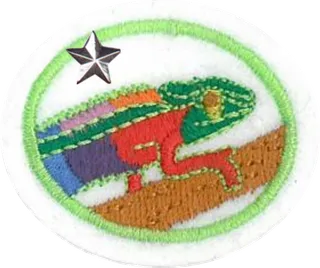 Animal Camouflage - Advanced patch
