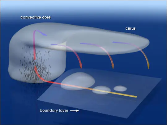 Anvil convection