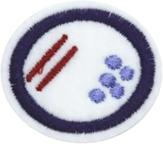Bacteria patch