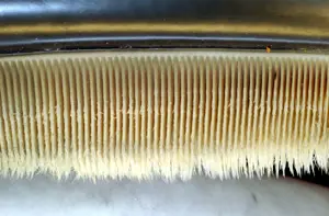 Baleen