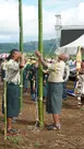 Flag pole