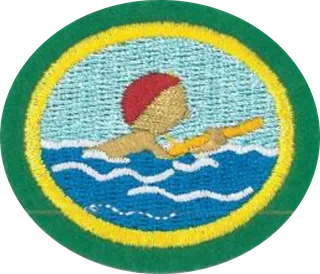 Basic Water Safety patch
