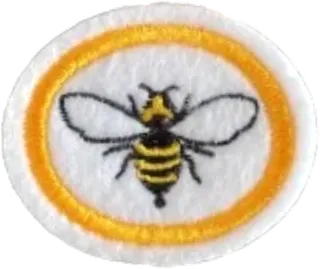 Bees and Wasps patch