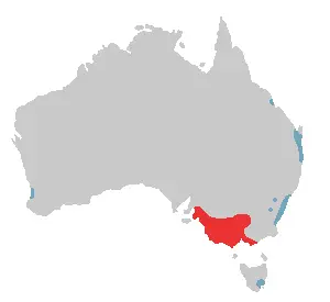 Bird range long-billed corella