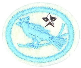 Birds - Advanced patch