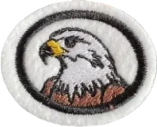 Birds of Prey patch