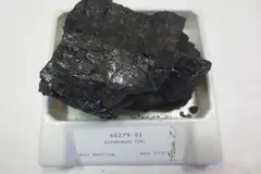 Bituminous coal label