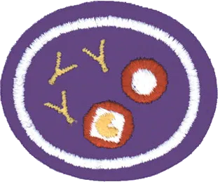 Blood and the Body's Defenses patch
