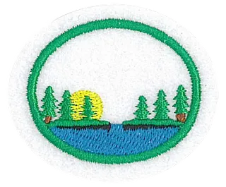 Bogs & Fens patch