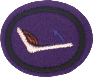 Bones, Muscles, and Movement patch