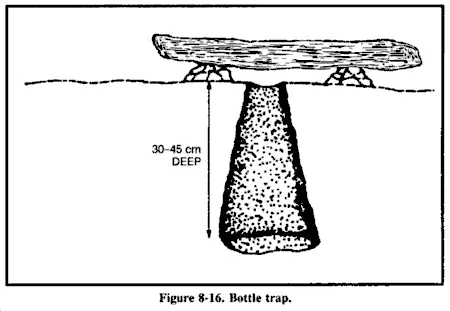 Bottle trap