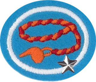 Braiding - Advanced patch