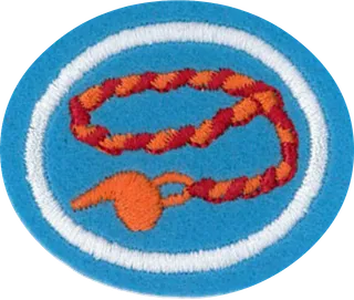Braiding patch