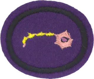 Brain and Behavior patch