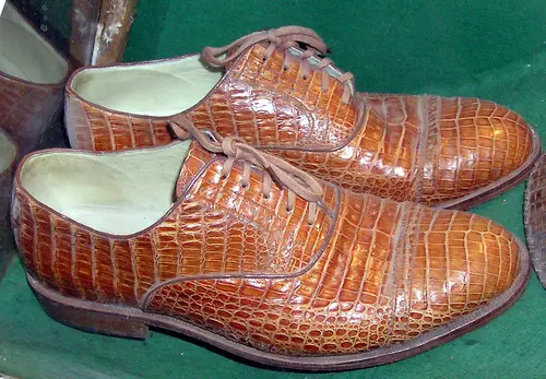 Bristol.zoo.crocshoes.arp