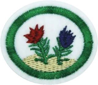 Bryophytes patch