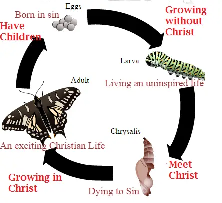 Butterfly Christian
