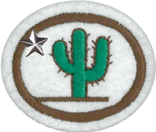 Cacti - Advanced patch