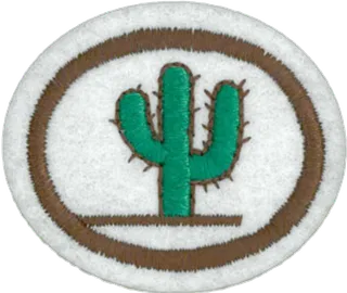 Cacti patch