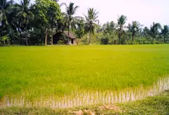 Example of level horizon