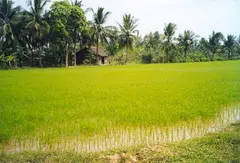 Example of not level horizon