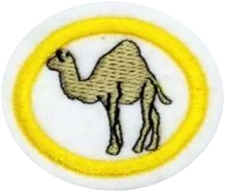 Camelids patch