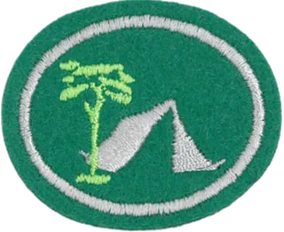 Camping Skills IV patch