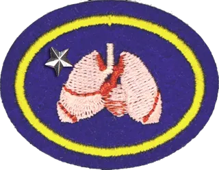 Cardiopulmonary System - Advanced patch