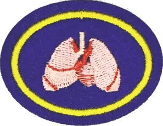 Cardiopulmonary System patch