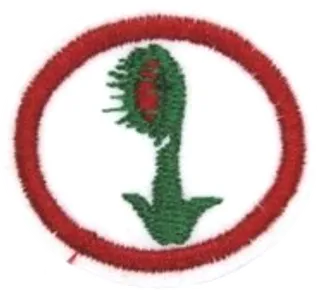 Carnivorous Plants patch