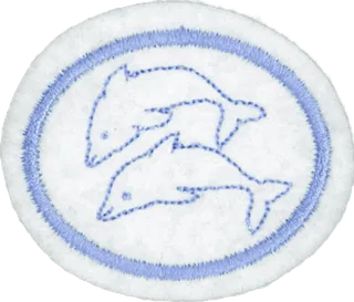 Cetaceans patch