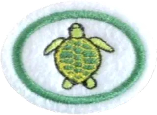 Chelonians patch
