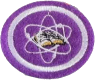Christian Scientists patch