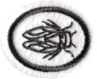 Cicadas patch