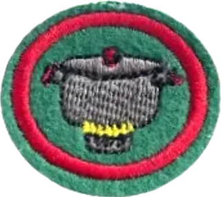 Cooking Safety patch