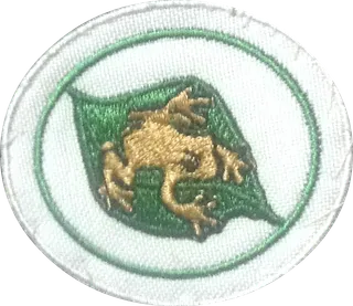 Coquí patch