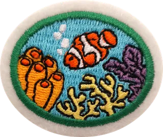 Coral Reefs patch