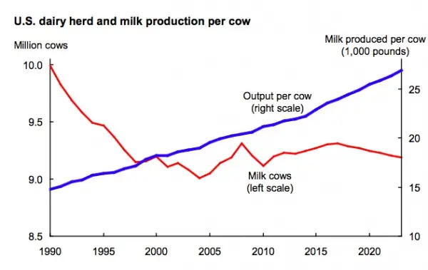 Cows have no limits