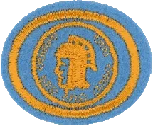 Currency patch
