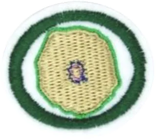 Cytology patch