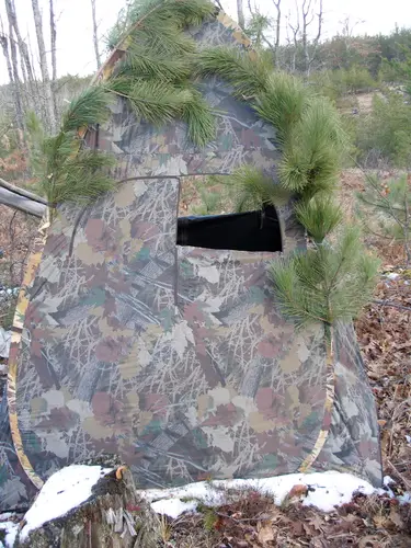Deer blind