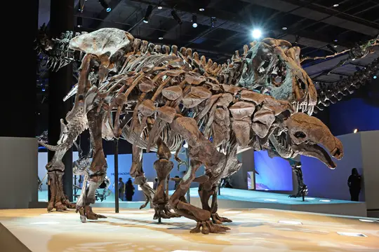 Denversaurus (Houston Museum of Natural Science)
