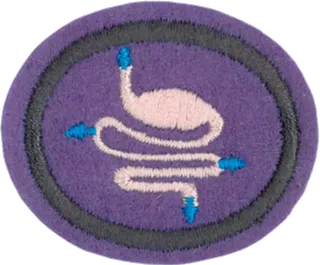 Digestion patch